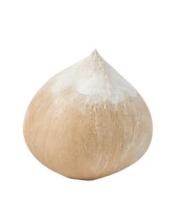 Bald Coconut