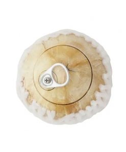 Coconut With Lid On