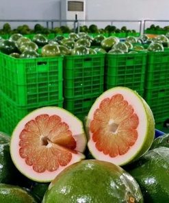 Premium Green Pomelo Grade 1