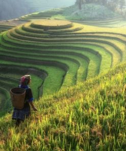 Vietnamese traditional foods