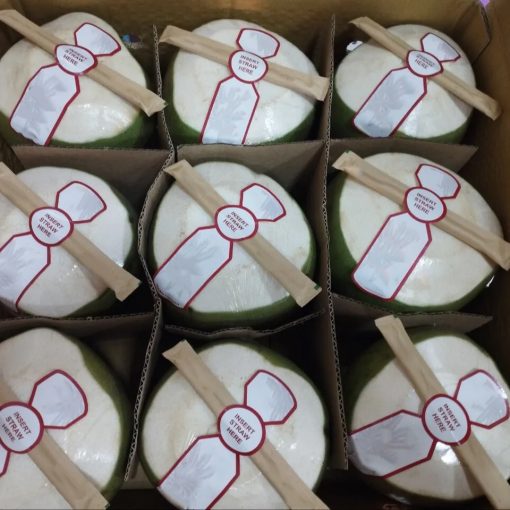 Young Coconut With Bamboo Straw In Paper Bag